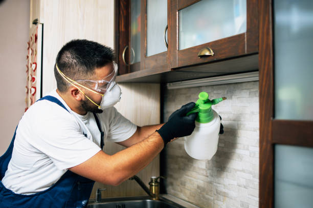 Best Mosquito Control Services  in Northfield, IL