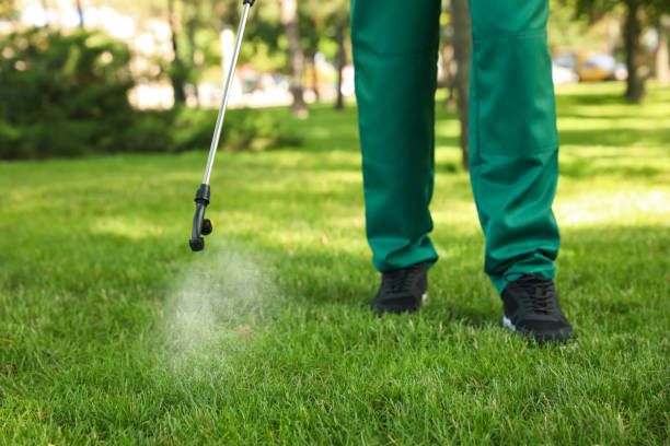 Best Wasp Removal Services  in Northfield, IL