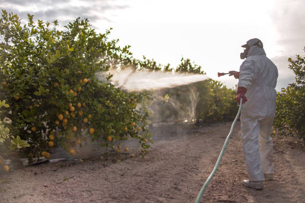 Best Pest Prevention Services  in Northfield, IL